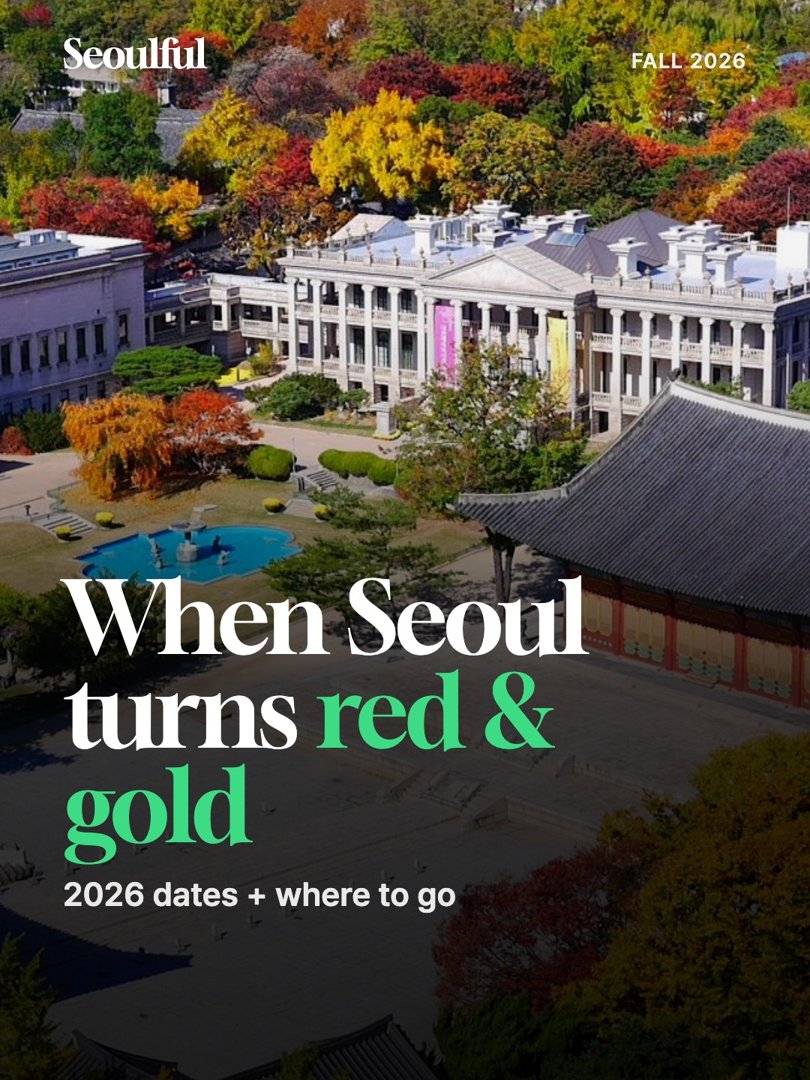 Seoul fall foliage 2026. Peak color is forecast for late October. Here's when to go and the easiest leaf walks in central Seoul, no hiking needed.