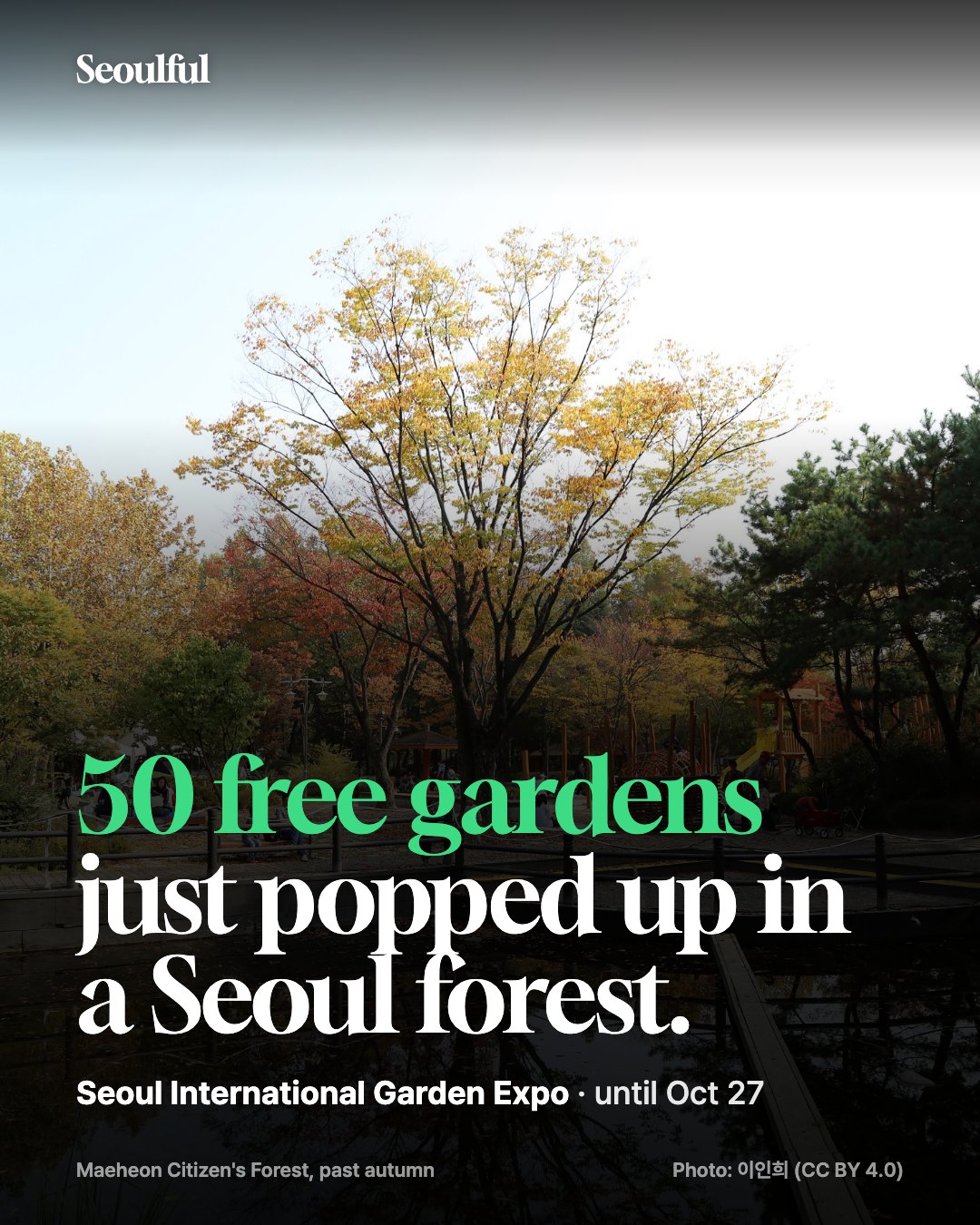 Seoul International Garden Expo at Maeheon Citizen's Forest. About 50 gardens fill Maeheon Citizen's Forest in Seocho-gu this October. Free entry, daily garden tours, a pet-friendly garden and a kids' garden.