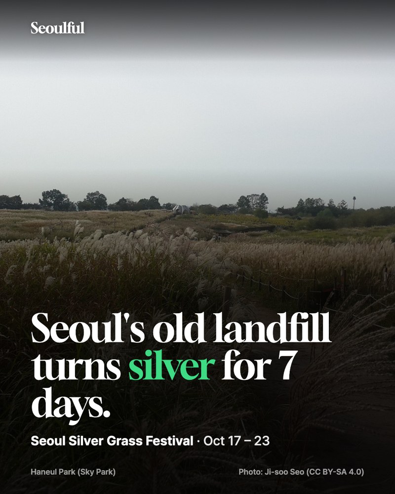 Seoul Silver Grass Festival 2026 at Haneul Park. For 7 days in October, the hill built on Seoul's old landfill turns silver. Hours, the subway route, the shuttle and where to go after.
